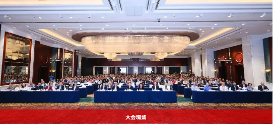 1732006320445560.png image.png